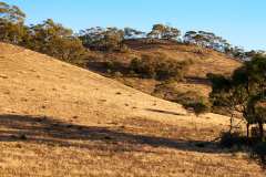 Oladdie Hills