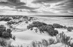 Mills Beach sandhills