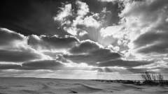Mills Beach sandhills