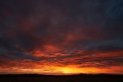 Orroroo Sunrise