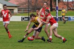 Tim-Froling-A9_00587
