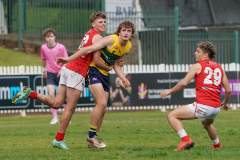 Tim-Froling-A9_00676